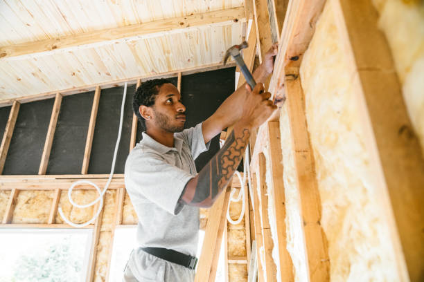 Best Cellulose Insulation  in Hoxie, KS